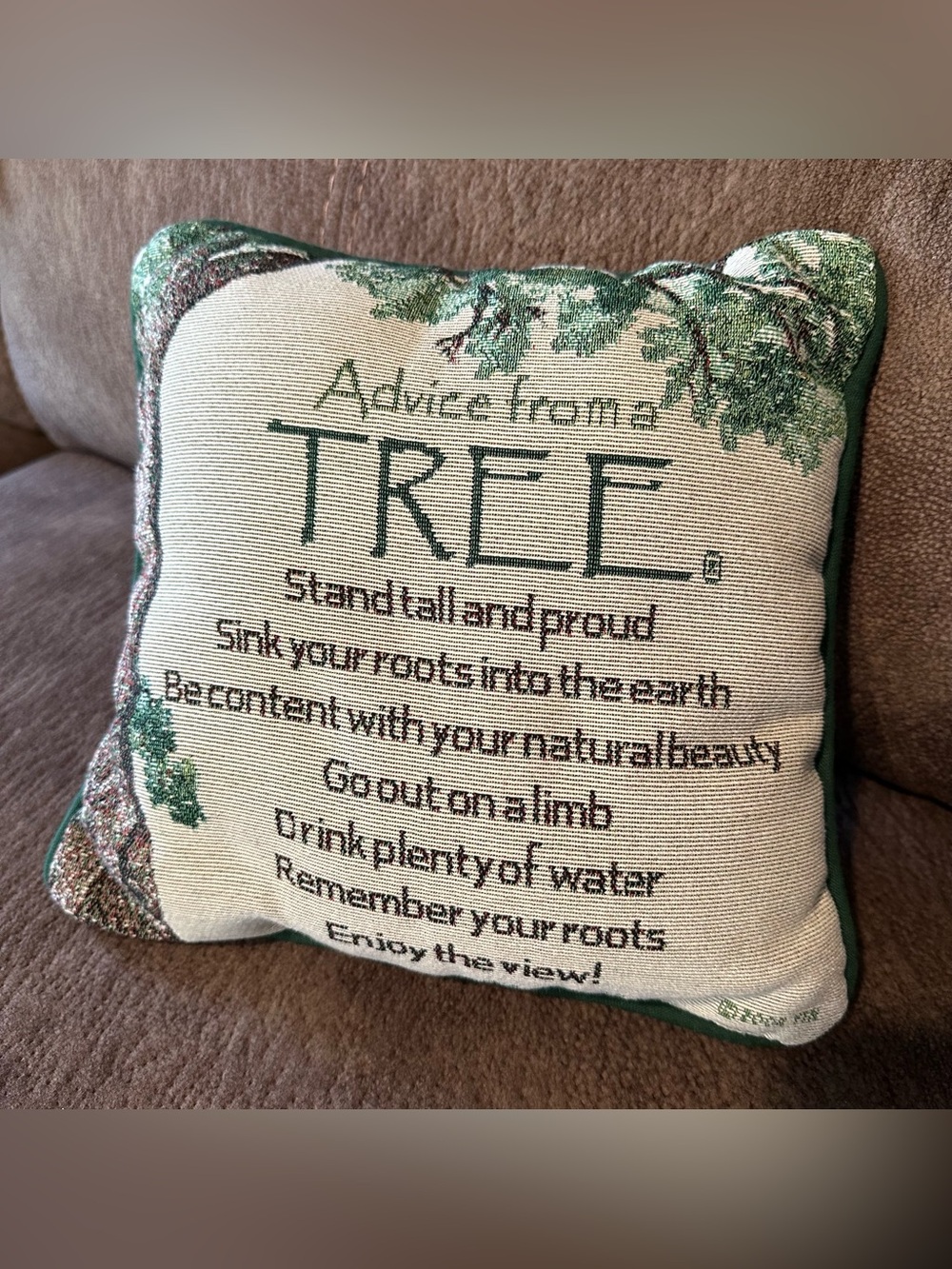 Advice From A Tree Poem Tapestry Pillow